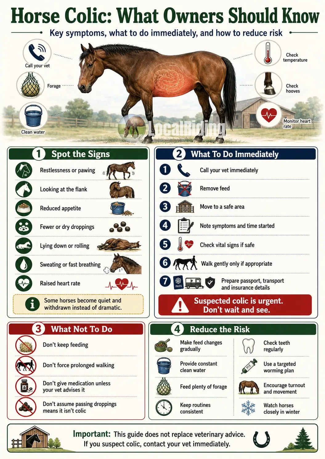 Horse Colic Symptoms: What UK Owners Should Do Immediately