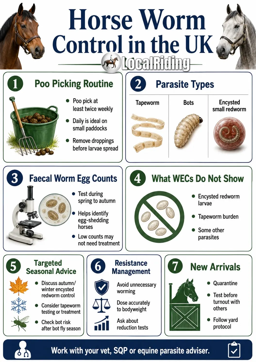 Horse Worm Control in the UK: Testing, Treatment, Parasite Life Cycles and Paddock Management