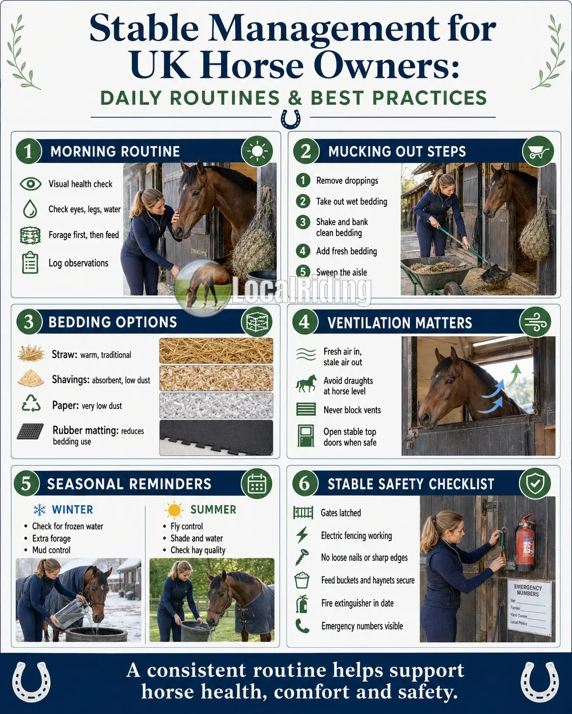 Stable Management for UK Horse Owners: Daily Routines and Best Practice