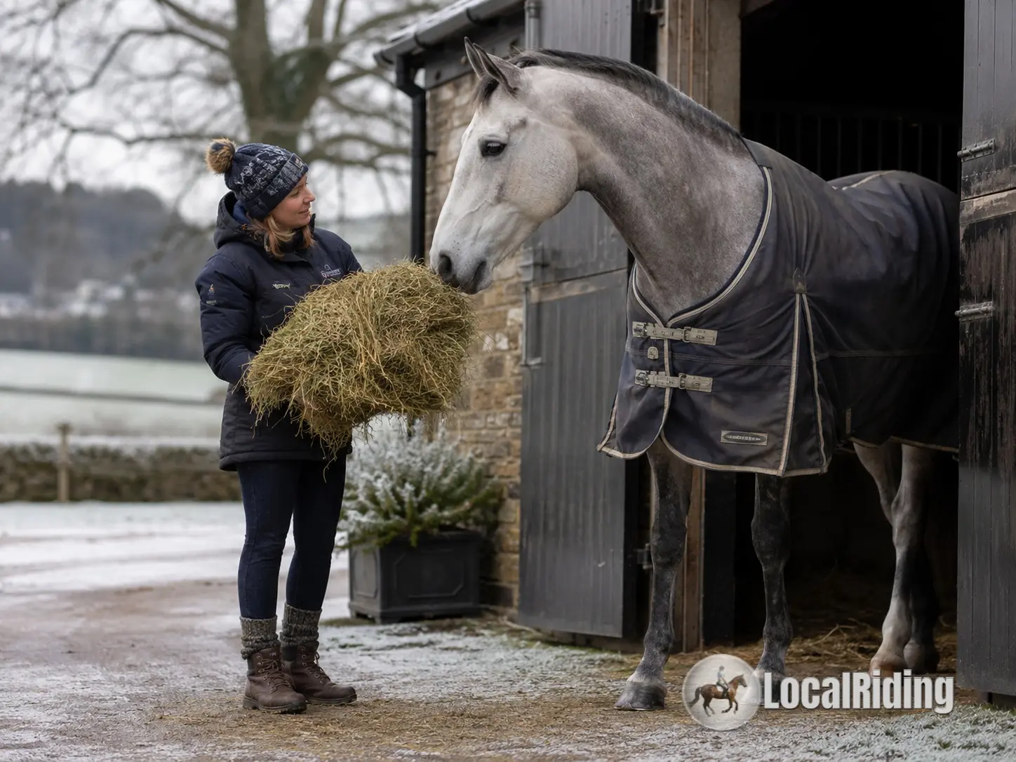UK horse owner offering a section of hay to a rugged grey horse outside a stable on a frosty winter morning