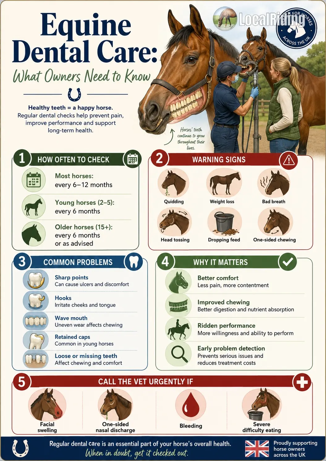 Equine dental care infographic for UK horse owners: how often to check, warning signs, common problems, why it matters and when to call the vet urgently