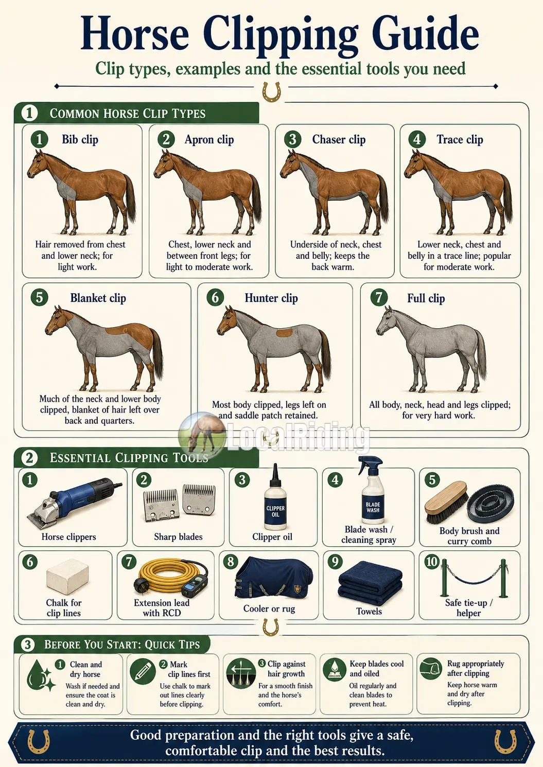 How to Clip a Horse: Step-by-Step UK Guide