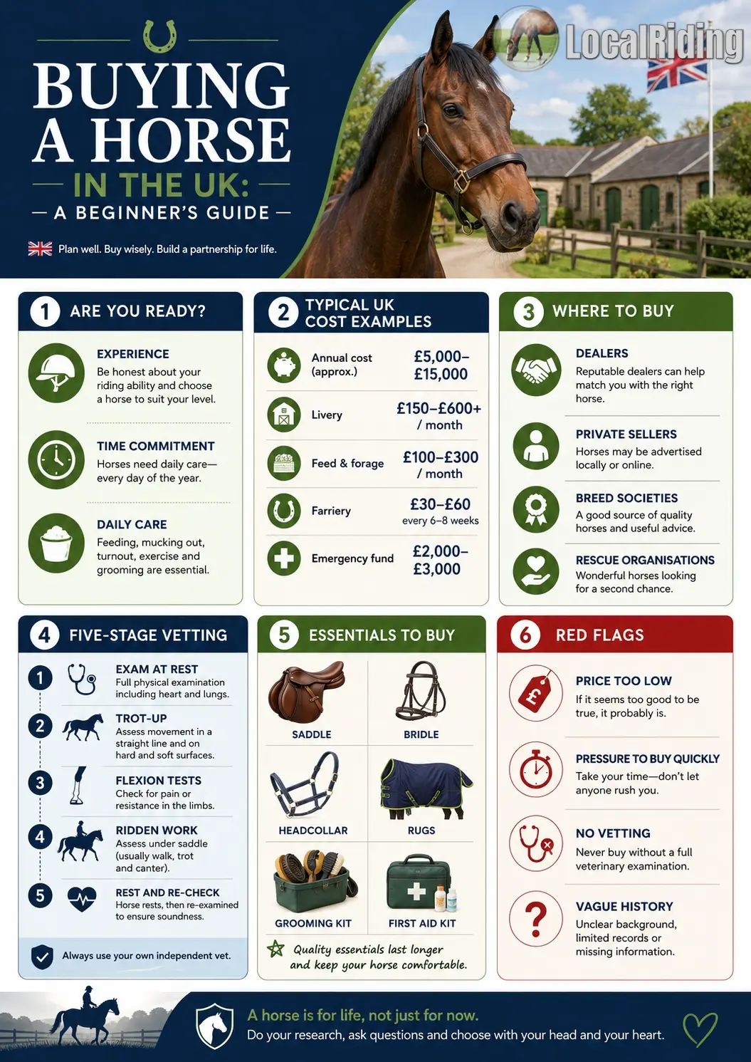 Buying a Horse in the UK: A Complete Beginner's Guide
