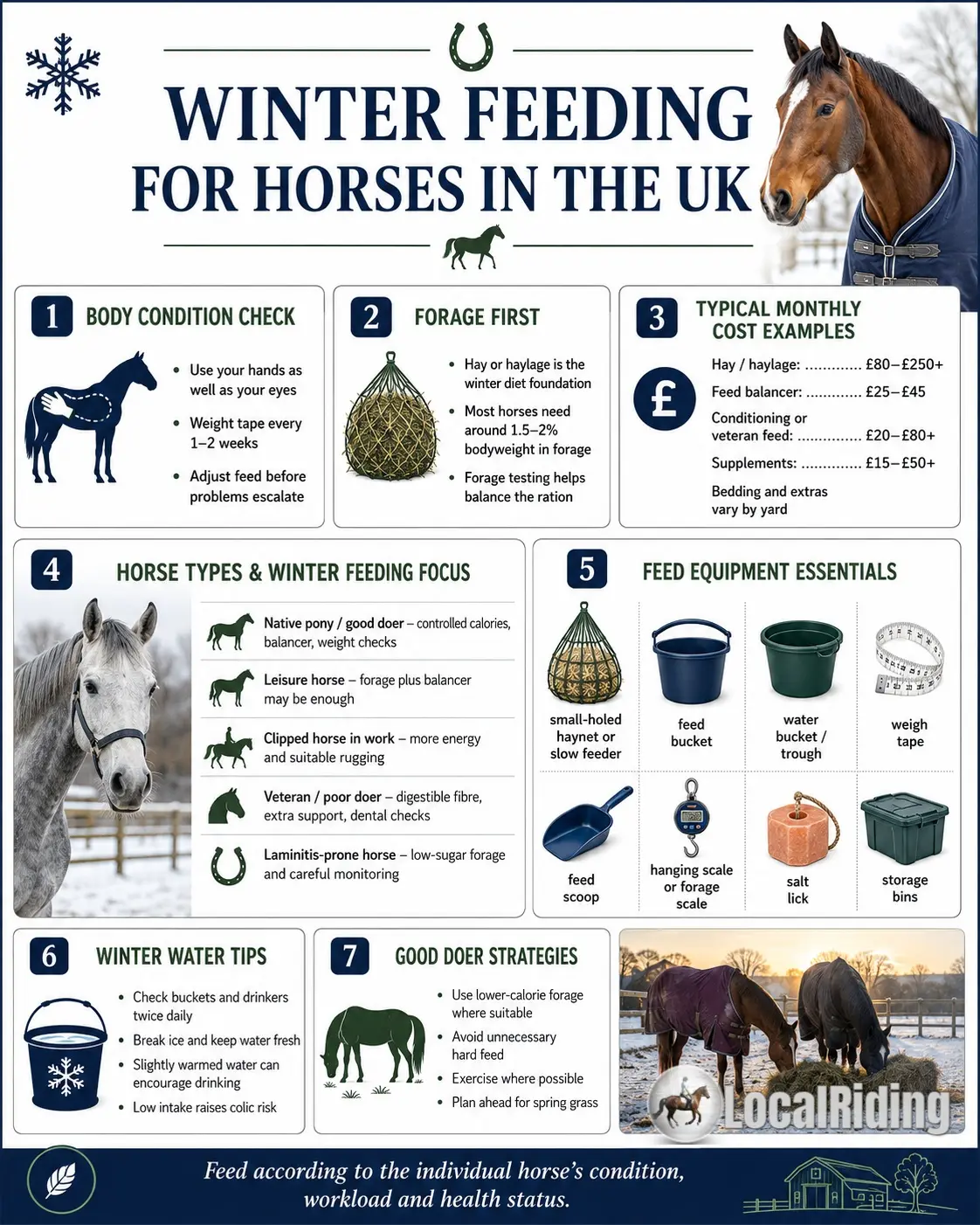 Feeding Your Horse in Winter: A UK Practical Guide