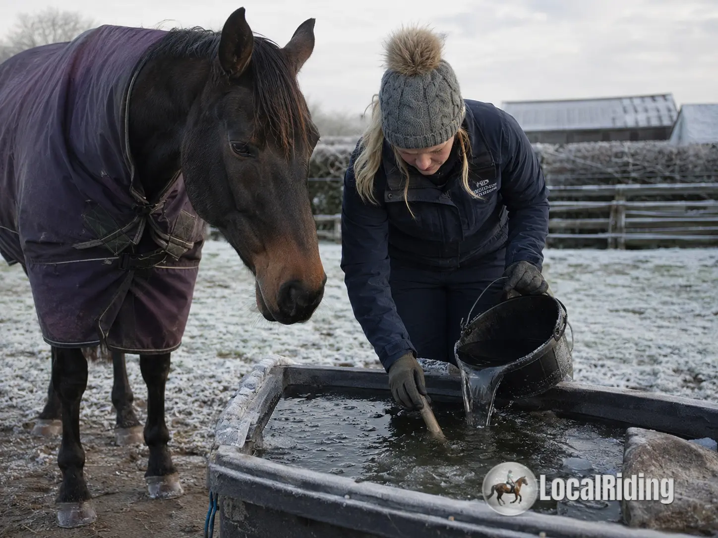 UK horse owner breaking and removing ice from a frozen water trough beside a rugged horse in winter