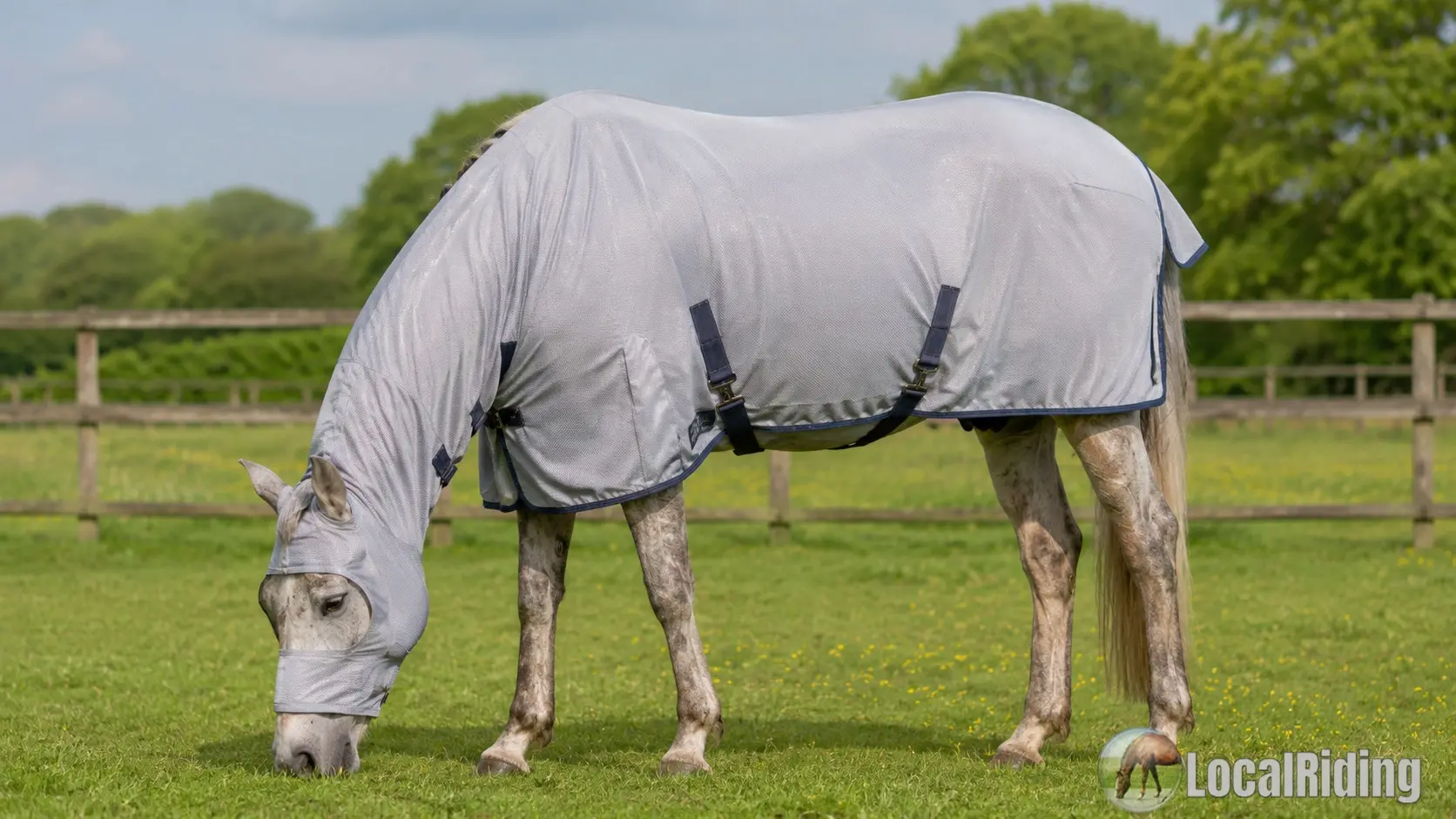 Grey horse wearing a full sweet itch combo rug with belly band, neck cover and fly mask, grazing calmly in a UK paddock — well protected from biting midges